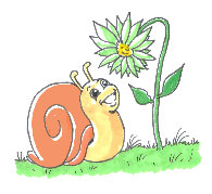 little_snail_fr004002.jpg